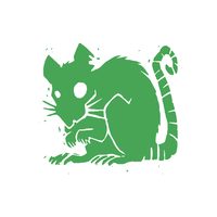 Green Rat